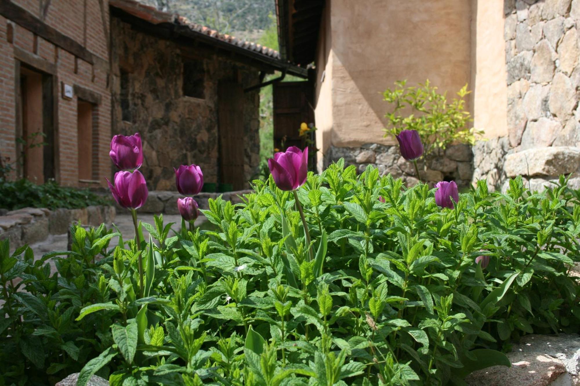 Hotel Rural Abejaruco Cuevas Del Valle Exterior photo